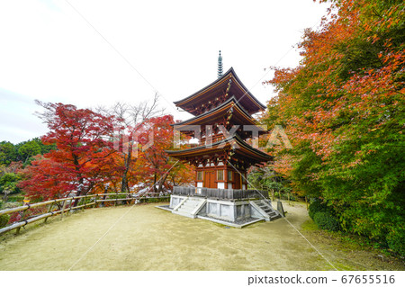 Nara Autumn Mie Pagoda at Okadera Nara Autumn Mie Pagoda at Okadera 67655516