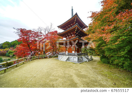 Nara Autumn Mie Pagoda at Okadera 67655517
