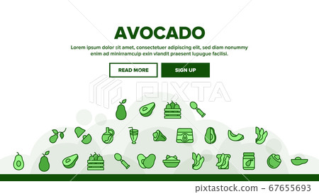 Avocado Vegetable Landing Header Vector 67655693