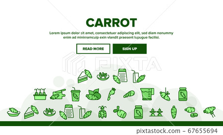 Carrot Bio Vegetable Landing Header Vector 67655694