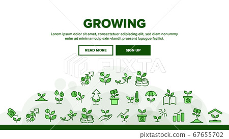 Growing Money Plant Landing Header Vector 67655702