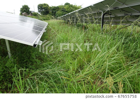 割草後的太陽能發電廠 67655758