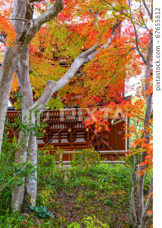 Nara Autumn Mie Pagoda at Okadera 67655812