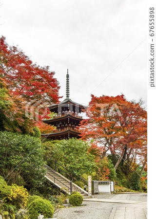 Nara Autumn Mie Pagoda at Okadera 67655898