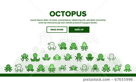 Octopus Ocean Mollusk Landing Header Vector 67655996