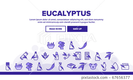 Eucalyptus Herbal Leaf Landing Header Vector 67656377