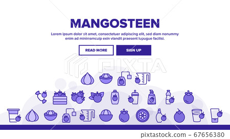 Mangosteen Sweet Fruit Landing Header Vector Mangosteen Sweet Fruit Landing Header Vector 67656380