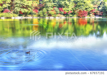 秋天的葉子在水邊 秋天的葉子在水邊 67657191