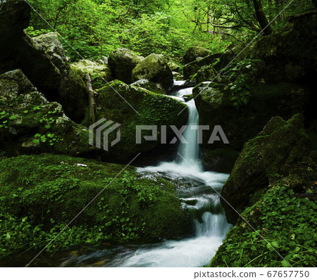 Namgyo-ri, Daeseung-ryeong, Jangsu University, Buk-myeon, Inje-gun, Gangwon-do, Korea Namgyo-ri, Daeseung-ryeong, Jangsu University, Buk-myeon, Inje-gun, Gangwon-do, Korea 67657750