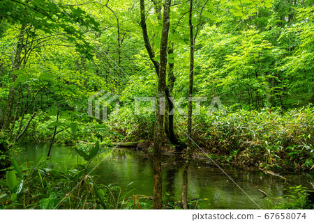 青森自然教育徑 青森自然教育徑 67658074