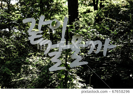 Wolmido, Bukseong-dong, Jung-gu, Incheon, Korea Wolmido, Bukseong-dong, Jung-gu, Incheon, Korea 67658296