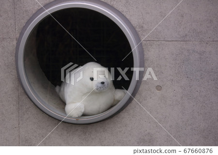 毛絨玩具 毛絨玩具 67660876