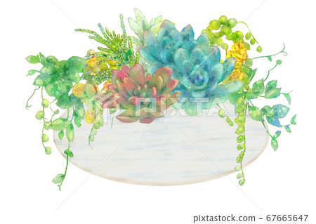 肉質植物自然生活植物插圖 肉質植物自然生活植物插圖 67665647