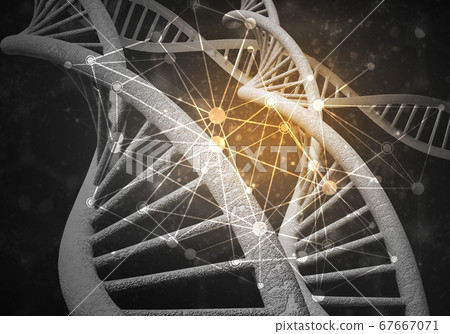 DNA molecules background, 3D rendering 67667071