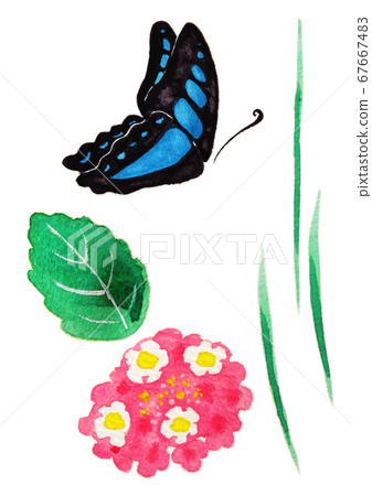 Flowers and butterflies 67667483