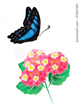 花和蝴蝶 67667485