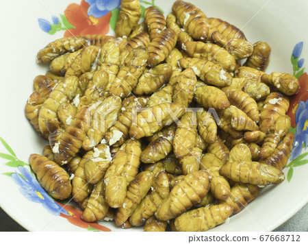 Pupa salad of silkworms 67668712