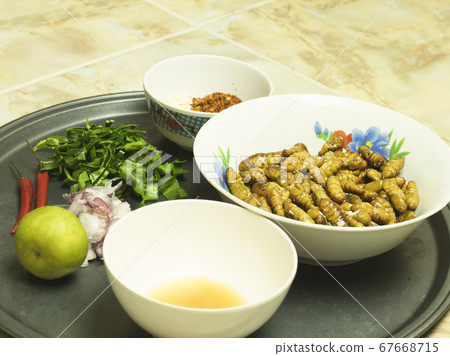 Pupa salad of silkworms Pupa salad of silkworms 67668715