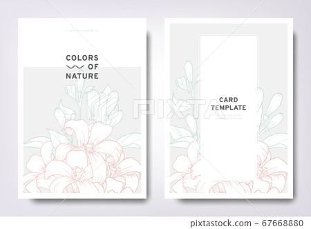 Floral invitation card template design, hand drawn Orange Jessamine with leaves 67668880