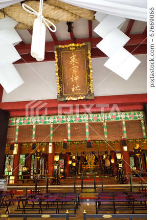 伊豆熱海市近宮神社的主殿 伊豆熱海市近宮神社的主殿 67669066