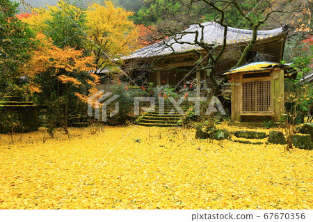 銀杏葉在Kaichoji寺 銀杏葉在Kaichoji寺 67670356