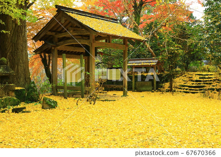 銀杏葉在Kaichoji寺 銀杏葉在Kaichoji寺 67670366