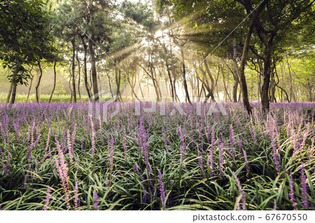 Ulsan Taehwa River Ironworks Park McMoon-dong 67670550