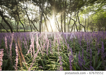 Ulsan Taehwa River Ironworks Park McMoon-dong 67670552