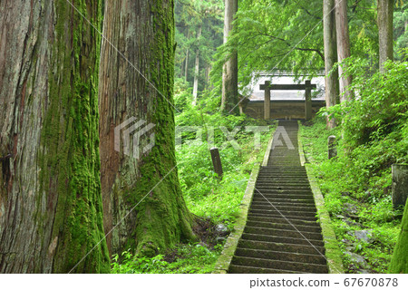 Kasoyama Shrine Stairs to Moso Shrine of Kasoyama Shrine and Moss Osugi in rainy season Kasoyama Shrine Stairs to Moso Shrine of Kasoyama Shrine and Moss Osugi in rainy season 67670878