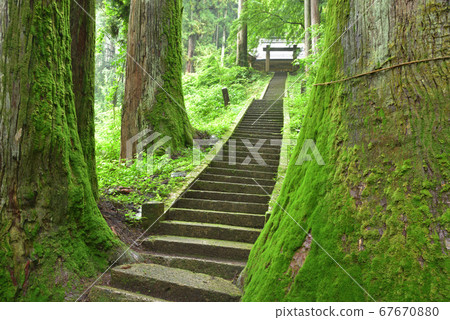 雨季的so山神社台階到Ka山神社和大杉青苔的摩祖神社 雨季的so山神社台階到Ka山神社和大杉青苔的摩祖神社 67670880
