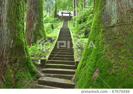 Kasoyama Shrine Stairs to Moso Shrine of Kasoyama Shrine and Moss Osugi in rainy season Kasoyama Shrine Stairs to Moso Shrine of Kasoyama Shrine and Moss Osugi in rainy season 67670886