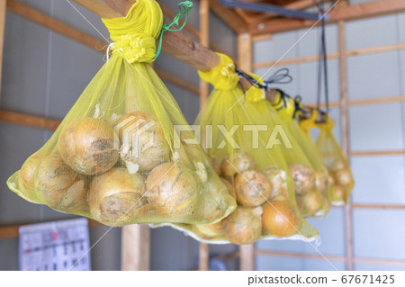 Dried onions 5541 67671425