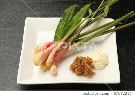 Yanaka ginger Yanaka ginger 67672255