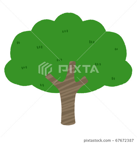 Big green tree - Stock Illustration [67672387] - PIXTA