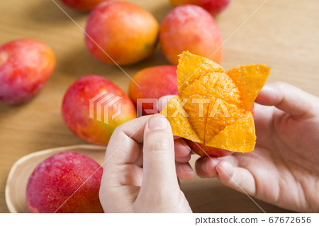 Female hand peeling mini mango 67672656
