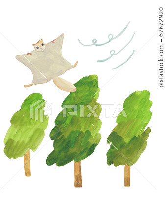 Watercolor-Sky Squirrel 67672920