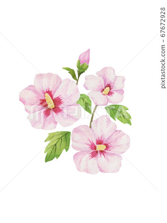 水彩綠光 水彩綠光 67672928