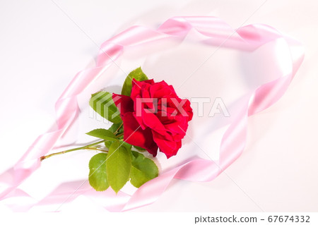 玫瑰禮物禮物形象 67674332