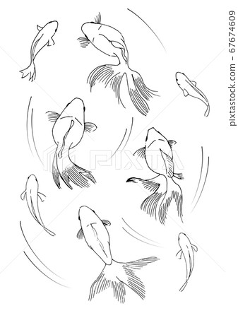 Summer goldfish Summer goldfish 67674609