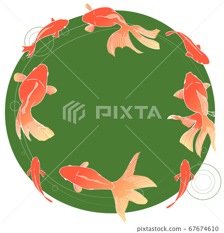 Summer goldfish Summer goldfish 67674610