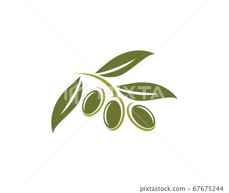 olive logo template 67675244