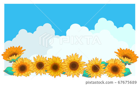 Sunflower and summer sky background... - Stock Illustration [67675689] -  PIXTA