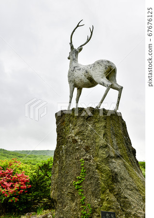 韓國濟州島西歸浦市漢拏山1100山百諾桑 韓國濟州島西歸浦市漢拏山1100山百諾桑 67676125