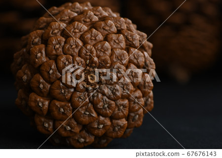 Pinecone background black 67676143