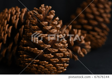 Pinecone background black 67676144