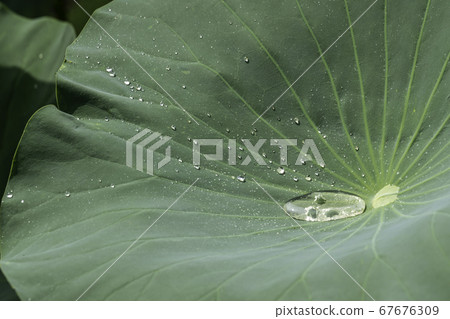 水滴 67676309