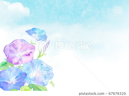 牽牛花和藍天 牽牛花和藍天 67676320
