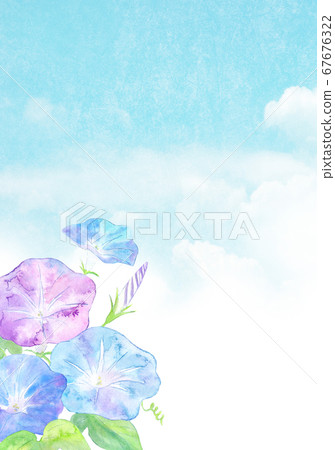 Morning glory and blue sky 67676322