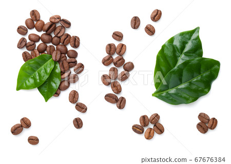 Coffee Beans With Leaves Isolated On White 67676384