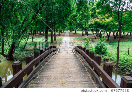 Wooden bridge with green trees at Seoul forest park in Korea 67677928